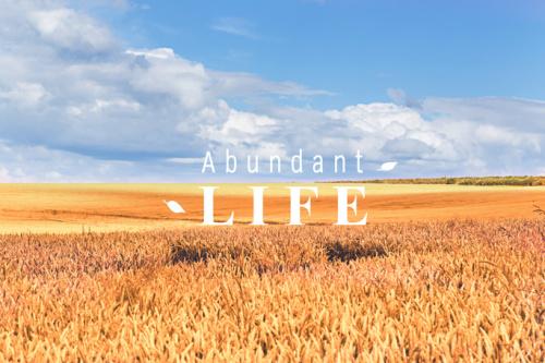 Way of the Peaceful Warrior 